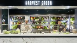EXPLORA I - Harvest Green